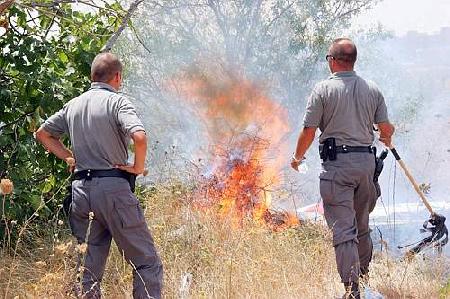 ORDINANZA N° 9 DEL 08-06-2023 - Prevenzione incendi boschivi e di interfacci...